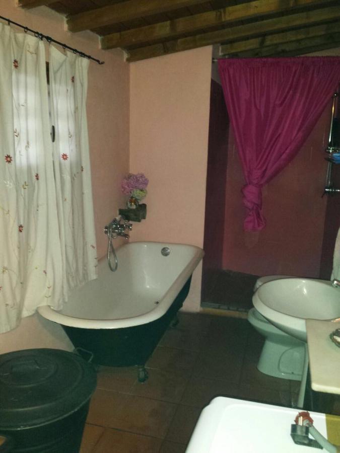 Fragolina Per Due Villa Lucca Eksteriør bilde